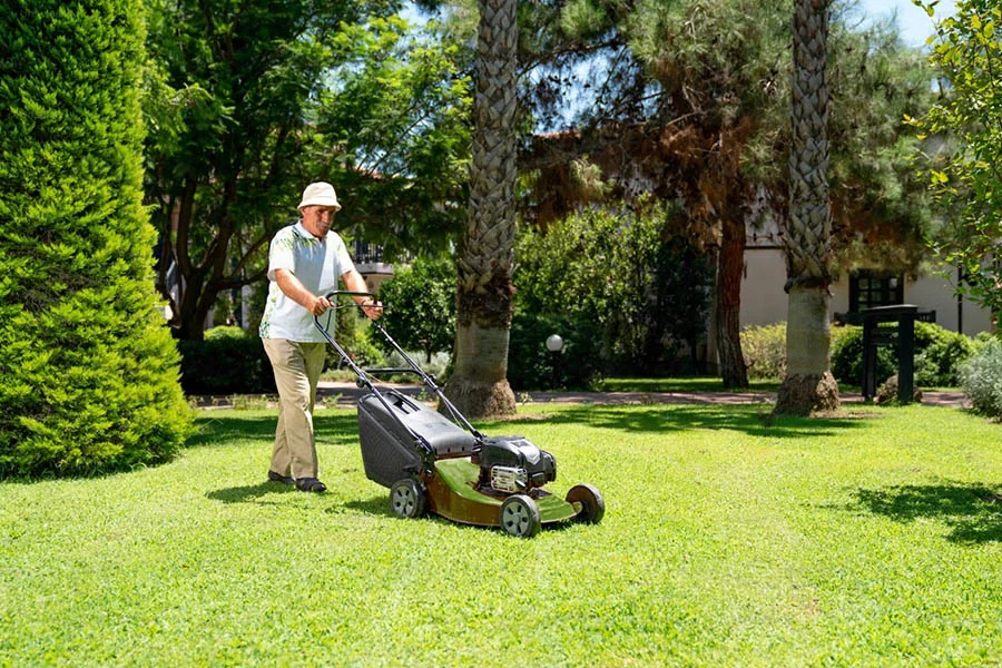 cordless electric mowers